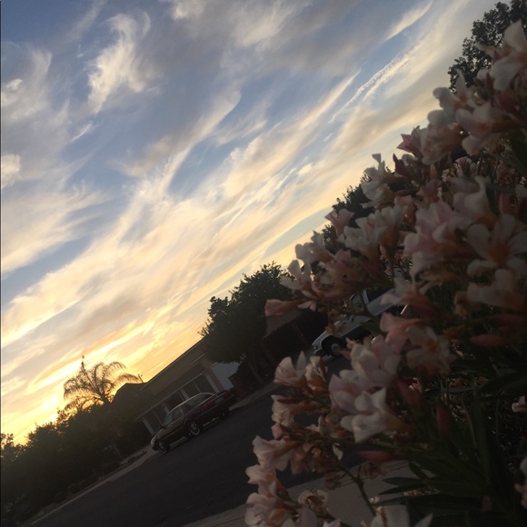 stephm006